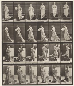 Tallrik 141. Nedgångstrappa och flirtande fläkt av Eadweard Muybridge