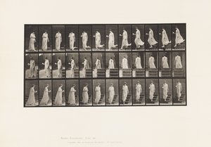 Tallrik 143. Nedåtgående lutning, vändkopp och fat i höger hand av Eadweard Muybridge