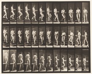Tavla 144. Nedgångstrappa; Vändbassäng i händerna av Eadweard Muybridge