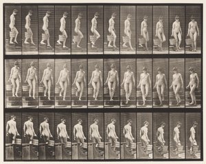 Tavla 145. Nedgångstrappa; Att vända hinkvatten i höger hand, 1872-1885 av Eadweard Muybridge