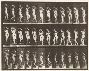 Tavla 147. Nedgångstrappa; Att vända vattenburk på höger axel, 1872-1885 av Eadweard Muybridge