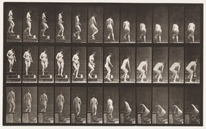 Tavla 149. Nedgångstrappa; Böjer sig för att lyfta en kanna, 1872-1885 av Eadweard Muybridge