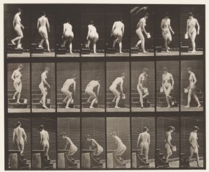 Tavla 150. Nedgångstrappa; Böjning, lyftande kanna, svarvning, 1872-1885 av Eadweard Muybridge