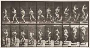 Tavla 151. Nedstigande stege, vända sig om, sten i händerna, 1872-1885 av Eadweard Muybridge