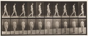 Tallrik 15. Promenader av Eadweard Muybridge