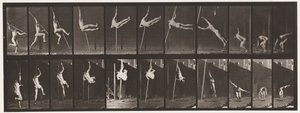 Plåt 164. Hoppning; Stånghoppning, 1872-1885 av Eadweard Muybridge