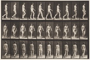 Plansch 16. Vandring, 1872-1885 av Eadweard Muybridge