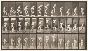 Tavla 171. Att trampa på en bock; Hoppa ner, vända av Eadweard Muybridge