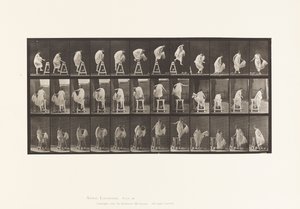 Tavla 172. Att trampa på en bock; Hoppa ner, vända, 1885 av Eadweard Muybridge