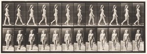 Plansch 17. Vandring, 1872-1885 av Eadweard Muybridge
