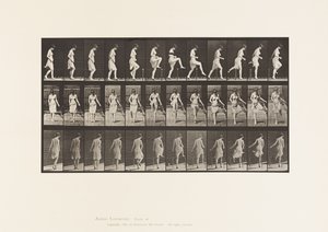 Plåt 181. Att kliva över ett staket av Eadweard Muybridge