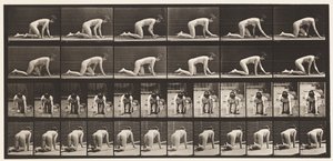 Tallrik 182. Krypande på händer och knän av Eadweard Muybridge