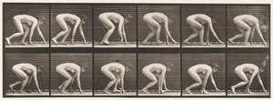 Plåt 183. Gå på händer och fötter av Eadweard Muybridge