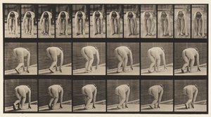 Plåt 184. Gå på händer och fötter av Eadweard Muybridge