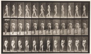 Plåt 18. Gå, vänster hand över buken, 1872-1885 av Eadweard Muybridge