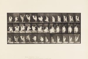 Tallrik 193. Dans (fantastisk) av Eadweard Muybridge