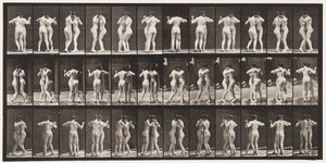 Tallrik 196. Dansvals, två modeller av Eadweard Muybridge