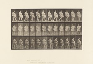 Plåt 19. Går, börjar vända av Eadweard Muybridge