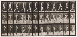 Plåt 1. Gå av Eadweard Muybridge