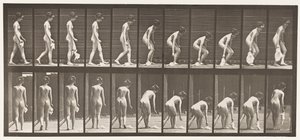 Tallrik 202. Tappa och lyfta en näsduk av Eadweard Muybridge