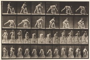 Tallrik 203. Böjer sig över en bock med vattenburk av Eadweard Muybridge