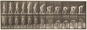 Tallrik 204. Stanna för att plocka upp bollen av Eadweard Muybridge