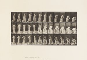 Tallrik 205. Bärande och lutande med vas, 1885 av Eadweard Muybridge