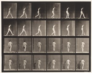 Plåt 20. Går, höger armbåge böjd av Eadweard Muybridge