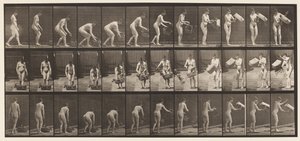 Tallrik 213. Lyft- och tömningskorg av Eadweard Muybridge
