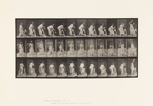 Tallrik 216. Böjning för att fylla vattenburk; Placera burken på huvudet av Eadweard Muybridge