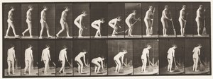 Tallrik 219. Böja och lyfta kvast och sopa av Eadweard Muybridge