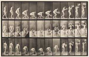 Tallrik 221. Böjning och lyftning av 12 lbs korg till huvudet av Eadweard Muybridge