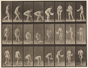 Plåt 223. Böj- och lyftbassäng, torka och vända, 1872-1885 av Eadweard Muybridge