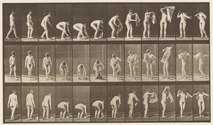 Tallrik 227. Lyftduk från marken, 1872-1885 av Eadweard Muybridge