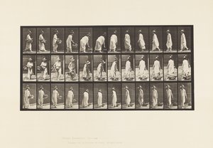 Plåt 229. Placera korgen på marken och vända av Eadweard Muybridge