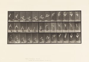 Tallrik 230. Lyftande 30 lb korg från mark till huvud, svarvning, 1885 av Eadweard Muybridge