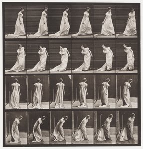 Plåt 231. Böjd för att ordna tåg och vändning av Eadweard Muybridge