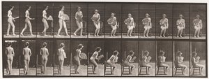 Skylt 237. Sitter på stol och öppningsfläkt, 1872-1885 av Eadweard Muybridge