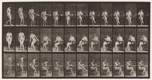 Tallrik 238. Sitter på stol, korsar benen, dricker ur tekopp av Eadweard Muybridge