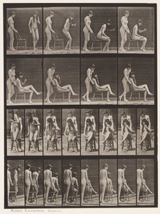 Skylt 239. Två modeller; Den ena stående, den andra sitter, korsar benen av Eadweard Muybridge