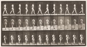 Tavla 23. Går, höger hand vid hakan, högklackade skor på av Eadweard Muybridge