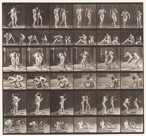Skylt 245. Två modeller snurrar runt sittande på marken av Eadweard Muybridge