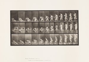 Tallrik 248. Sitter på marken av Eadweard Muybridge