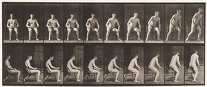 Tallrik 249. Reser sig från stolen av Eadweard Muybridge