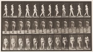 Tavla 24. Gå, med högklackade skor på av Eadweard Muybridge