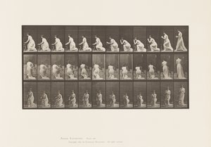 Tallrik 253. Knästående armbågar på stolen, händerna knäppta, 1885 av Eadweard Muybridge