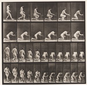 Tallrik 254. Knästående, armbågar på stolen, händerna knäppta av Eadweard Muybridge