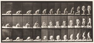 Tallrik 255. Uppstår från knästående och vändning av Eadweard Muybridge