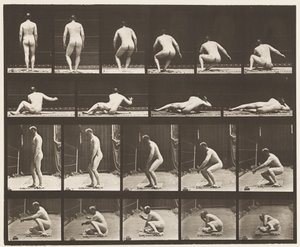 Plåt 257. Liggande på marken, 1885 av Eadweard Muybridge