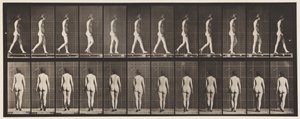 Tavla 25. Går, med högklackade skor på av Eadweard Muybridge